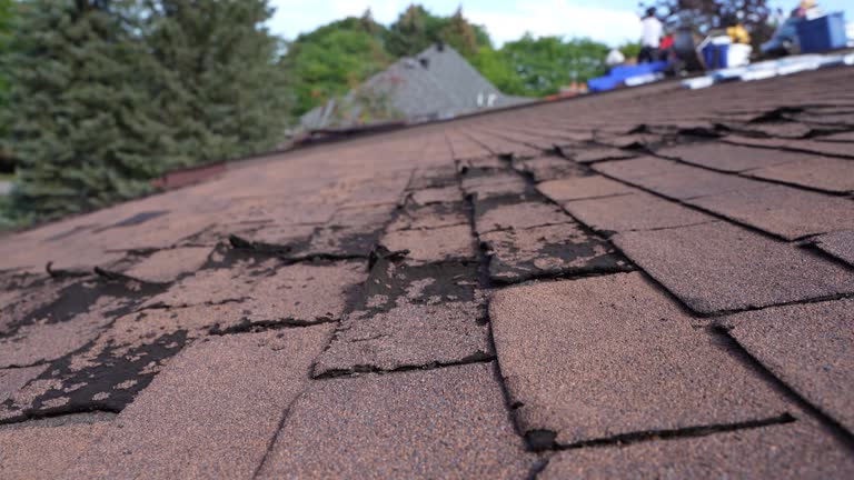 Best Storm Damage Roof Repair  in New Lexington, OH